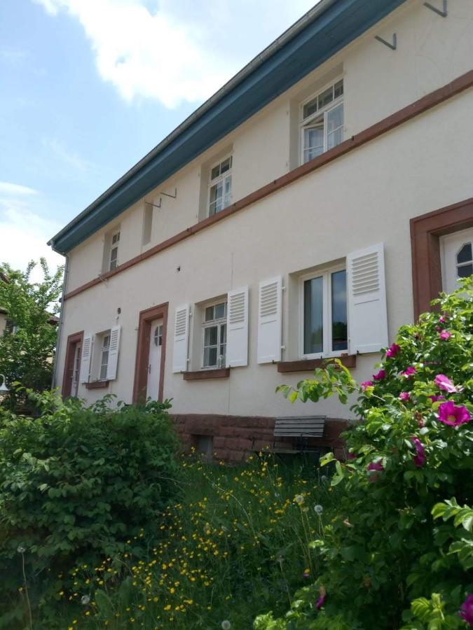 Haus Pfaffenfels * Schonau (Rhineland-Palatinate)
